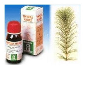 Specchiasol Equiseto 12 Tintura Madre 50 ml